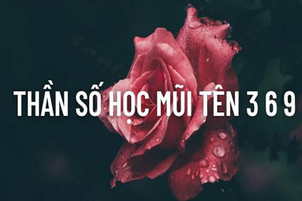 mũi tên 369