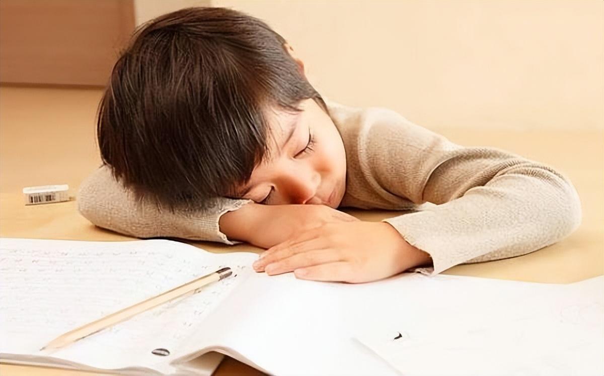 Con Không Chịu Làm Bài Tập Về Nhà